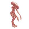 Imagen de Alien ReAction Xenomorph Newborn Figure